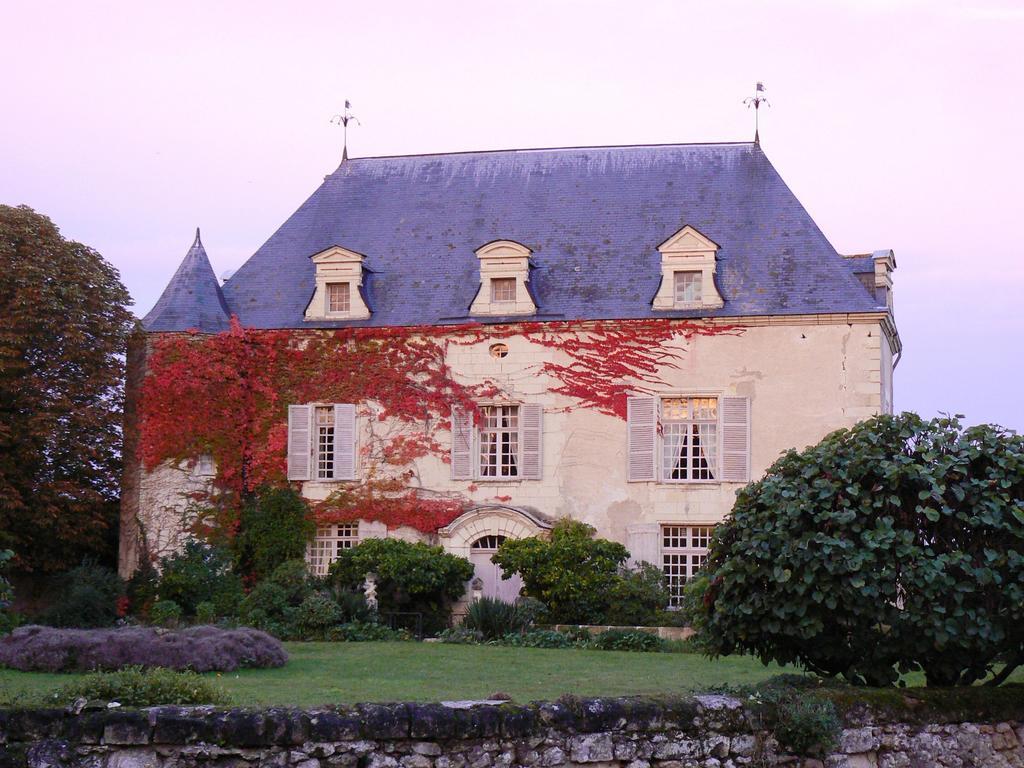 Gite Chateau De Chaintres Dampierre-sur-Loire 객실 사진