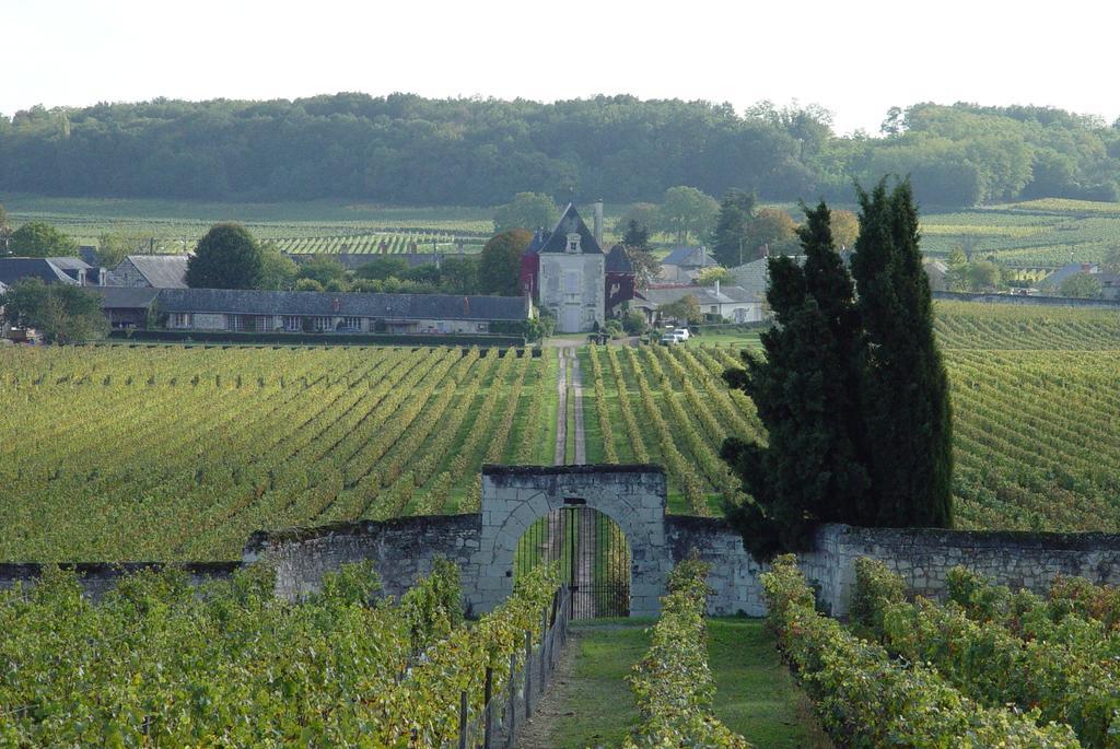 Gite Chateau De Chaintres Dampierre-sur-Loire 객실 사진